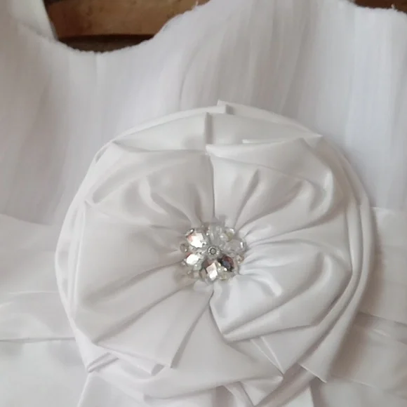 David's Bridal Galina wedding gown size 4 - Picture 6 of 6